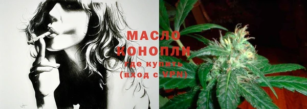 прущие крисы Бородино