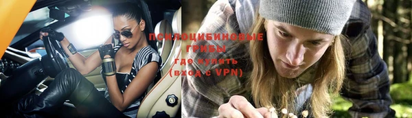 прущие крисы Бородино