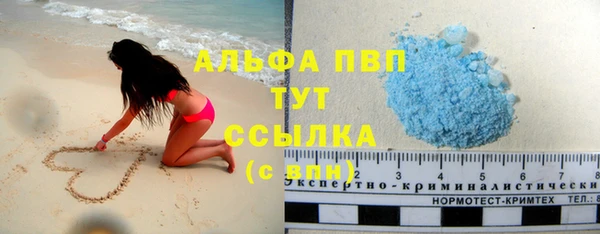 прущие крисы Бородино