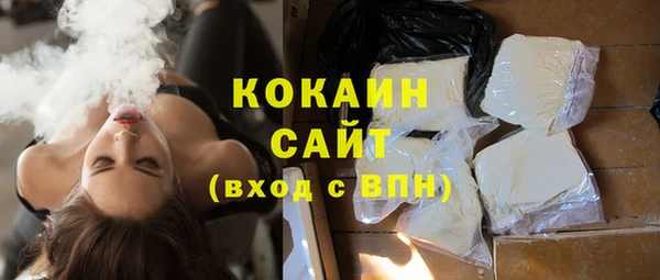прущие крисы Бородино