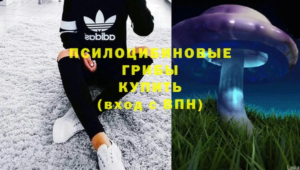прущие крисы Бородино