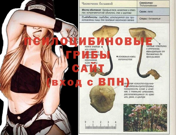 прущие крисы Бородино