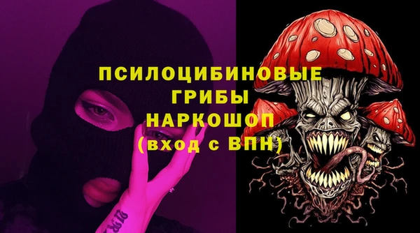 прущие крисы Бородино