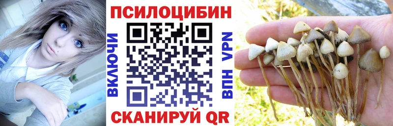 Псилоцибиновые грибы ЛСД kraken как войти Афипский хочу наркоту